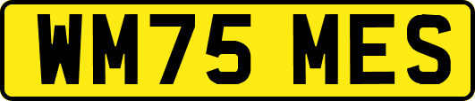 WM75MES