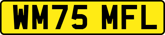 WM75MFL