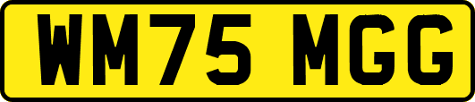 WM75MGG