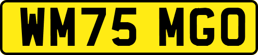 WM75MGO