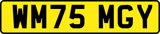 WM75MGY