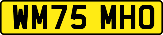 WM75MHO