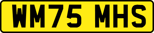 WM75MHS