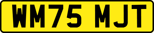 WM75MJT