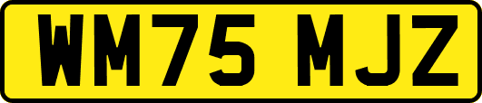 WM75MJZ