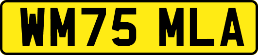 WM75MLA