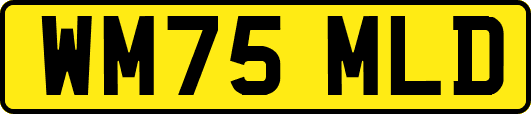 WM75MLD