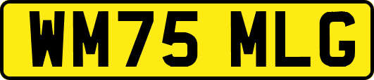 WM75MLG