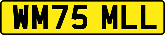 WM75MLL