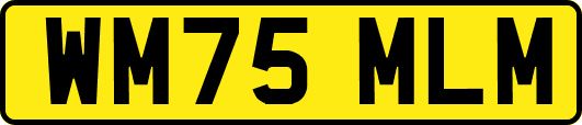 WM75MLM