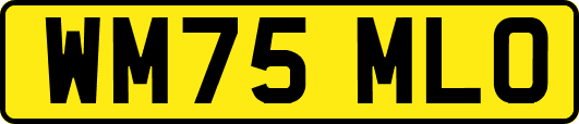 WM75MLO