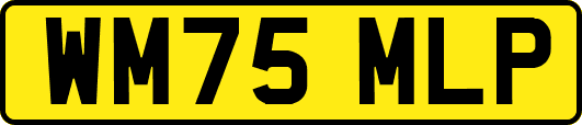 WM75MLP