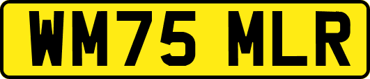 WM75MLR