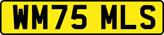 WM75MLS