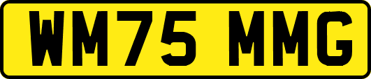 WM75MMG
