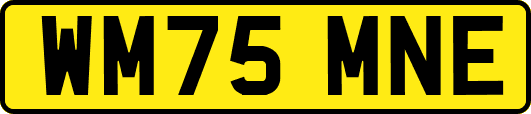 WM75MNE