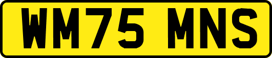 WM75MNS