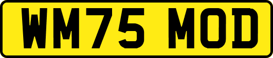 WM75MOD