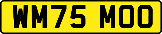 WM75MOO