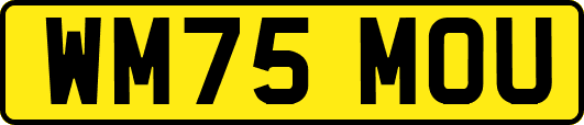 WM75MOU