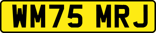 WM75MRJ