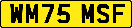 WM75MSF