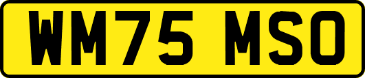WM75MSO