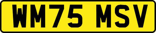 WM75MSV