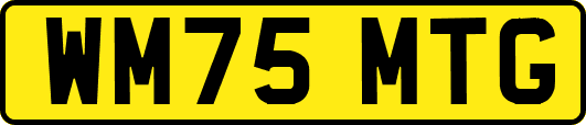 WM75MTG
