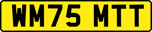 WM75MTT