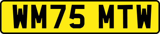 WM75MTW