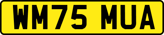 WM75MUA