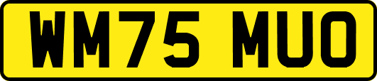 WM75MUO