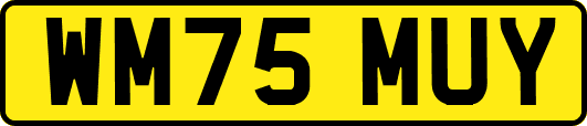 WM75MUY