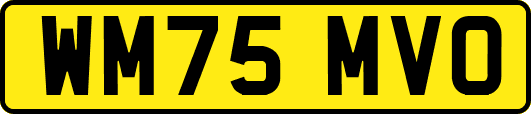 WM75MVO