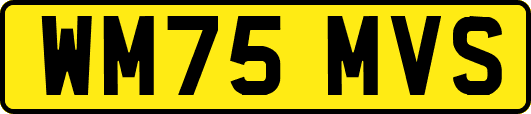 WM75MVS