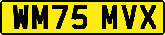 WM75MVX