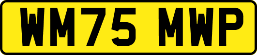 WM75MWP