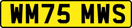 WM75MWS