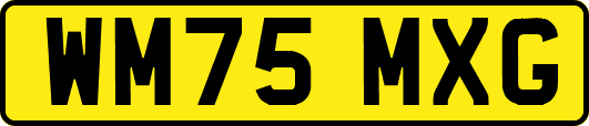 WM75MXG