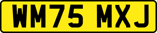 WM75MXJ