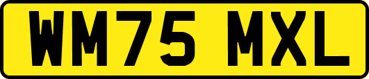 WM75MXL