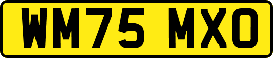 WM75MXO