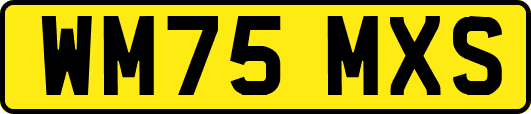 WM75MXS