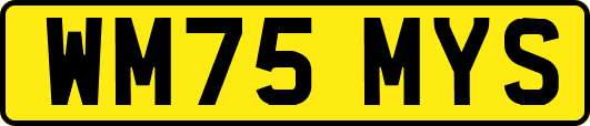 WM75MYS