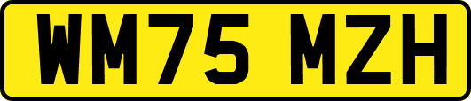 WM75MZH