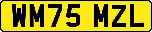 WM75MZL