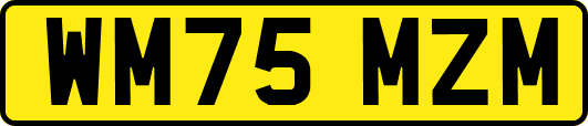 WM75MZM