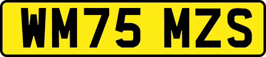 WM75MZS
