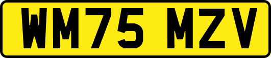 WM75MZV